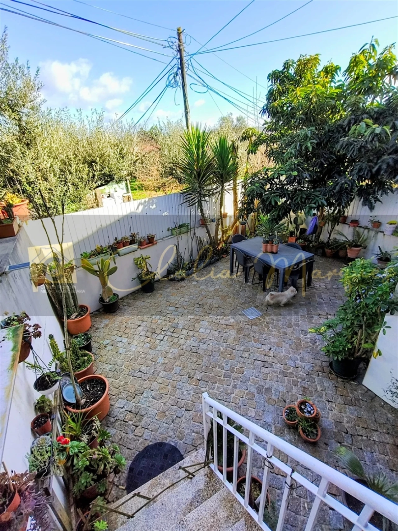 Moradia T3 para Venda em Viseu Foto 35