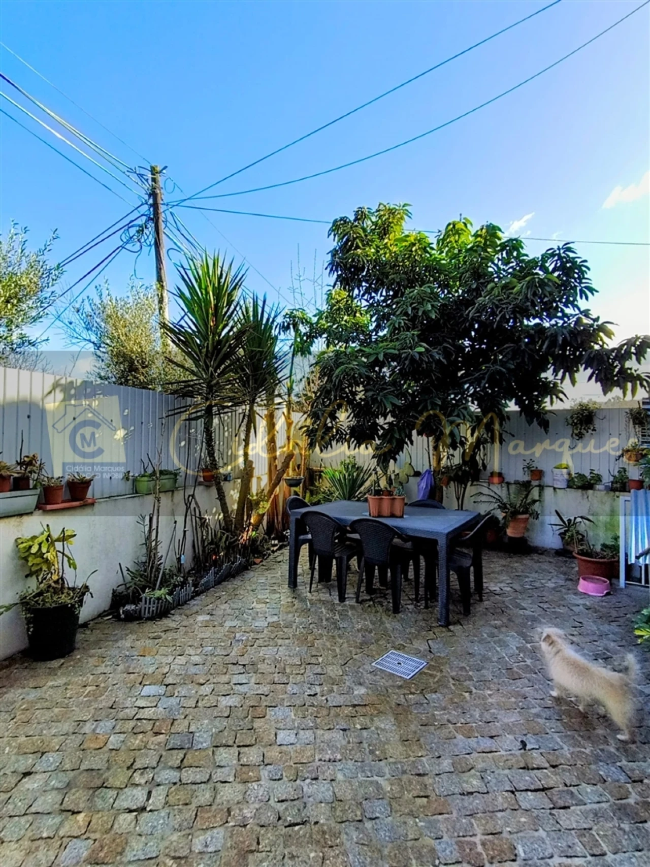 Moradia T3 para Venda em Viseu Foto 33