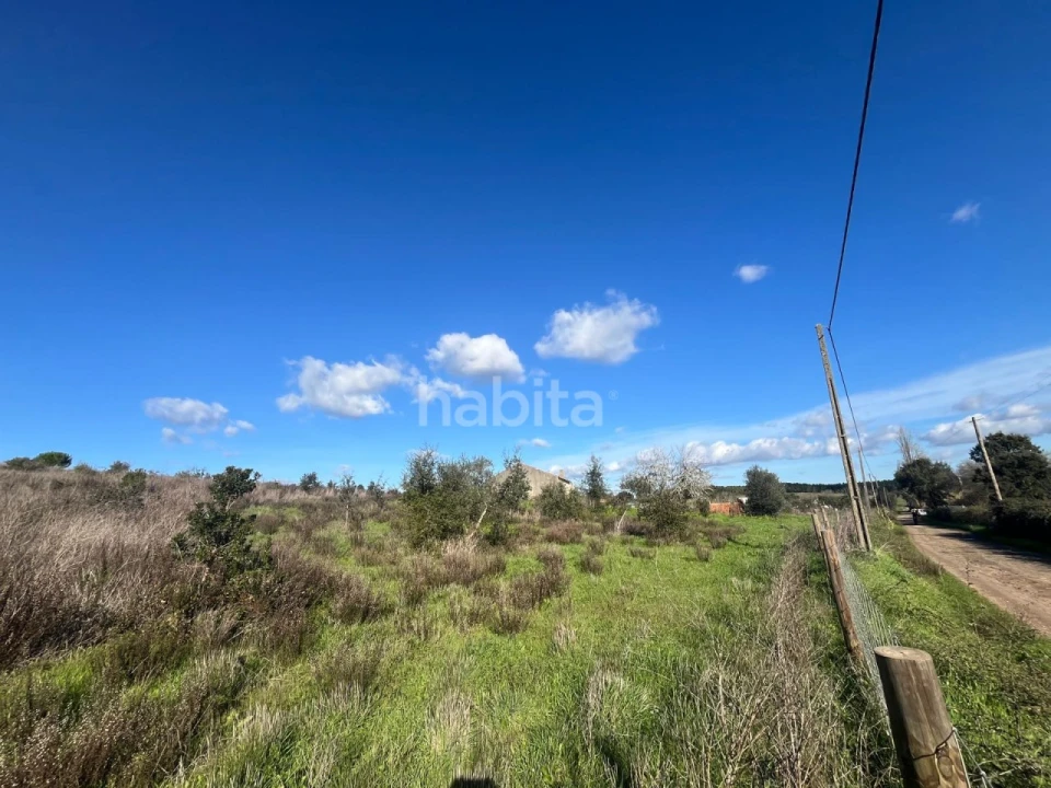 Terreno Misto para Venda em Cercal Foto 5