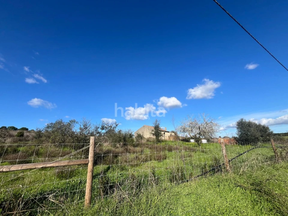 Terreno Misto para Venda em Cercal Foto 6