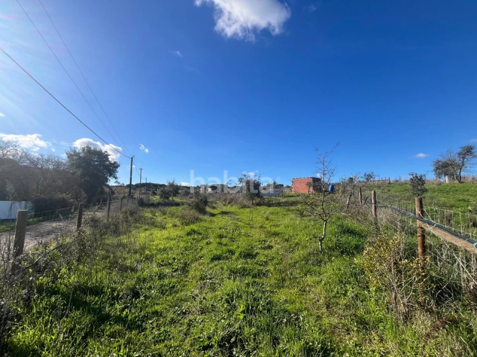 Terreno Misto para Venda em Cercal Foto 7