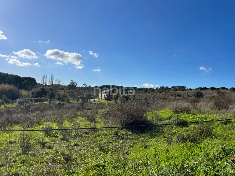 Terreno Misto para Venda em Cercal Foto 12