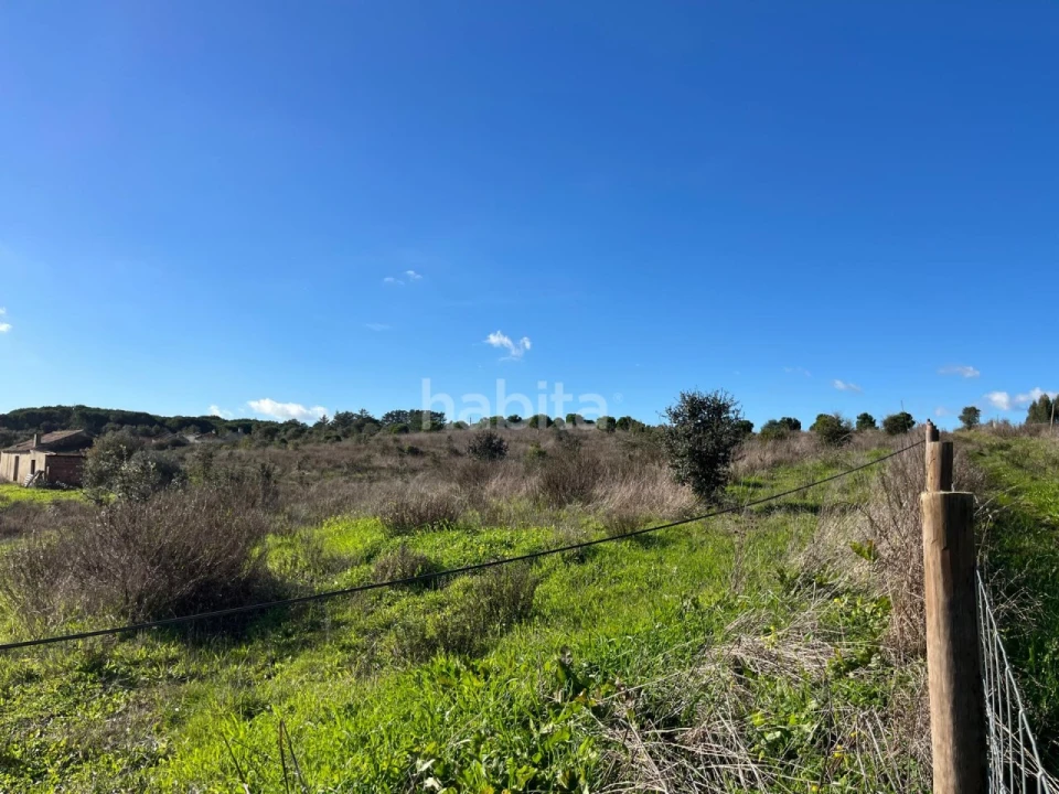 Terreno Misto para Venda em Cercal Foto 13