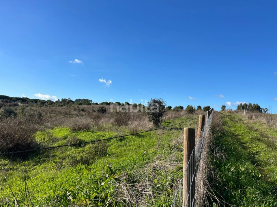 Terreno Misto para Venda em Cercal Foto 14