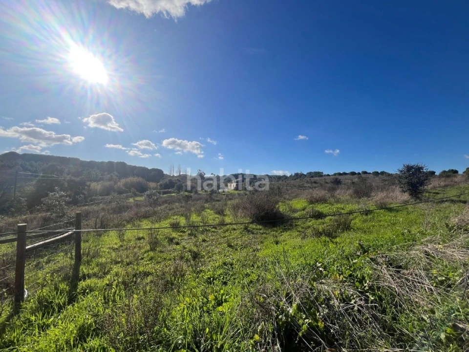 Terreno Misto para Venda em Cercal Foto 16
