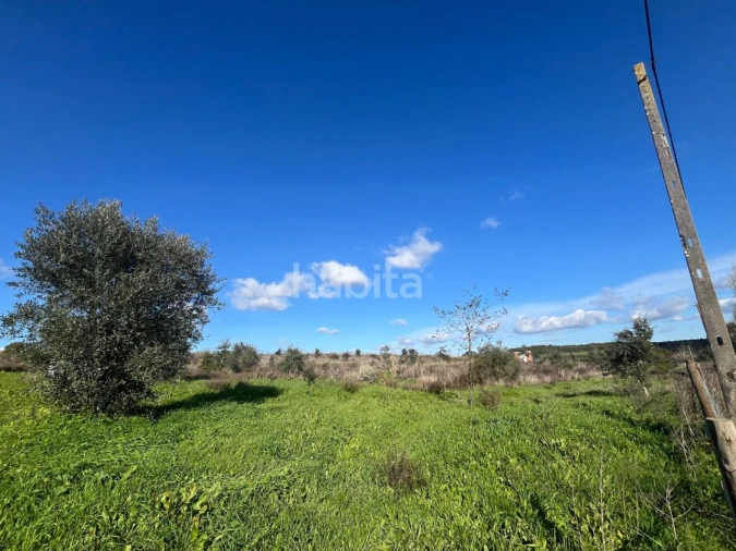 Terreno Misto para Venda em Cercal Foto 3