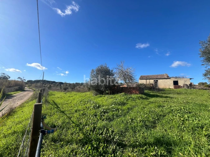 Terreno Misto para Venda em Cercal Foto 4