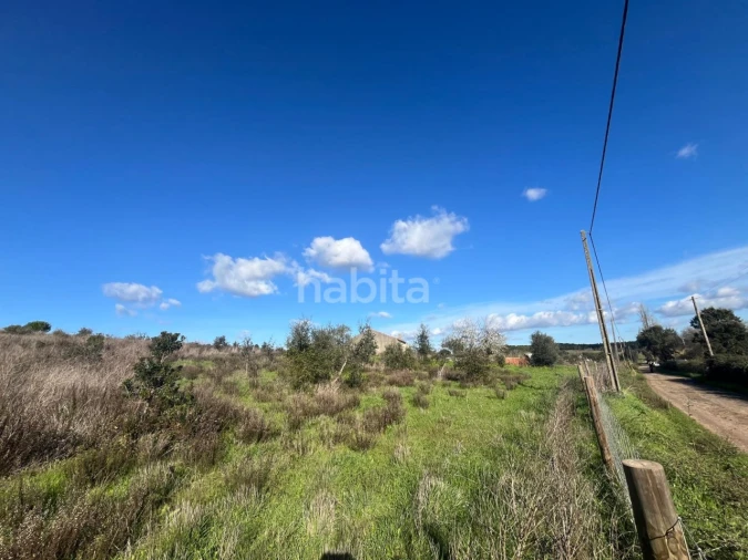 Terreno Misto para Venda em Cercal Foto 5