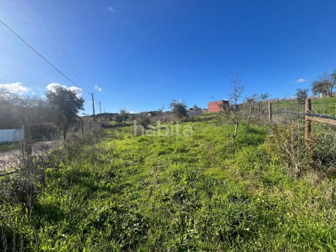 Terreno Misto para Venda em Cercal Foto 8