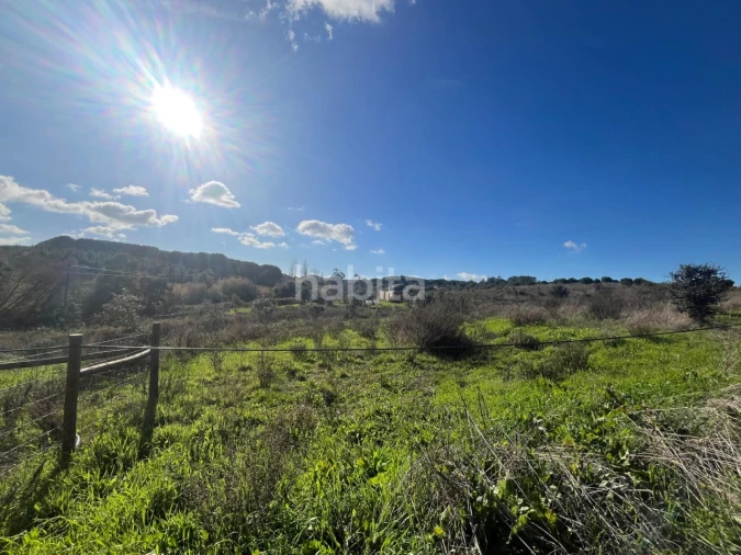 Terreno Misto para Venda em Cercal Foto 11
