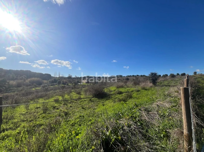 Terreno Misto para Venda em Cercal Foto 15