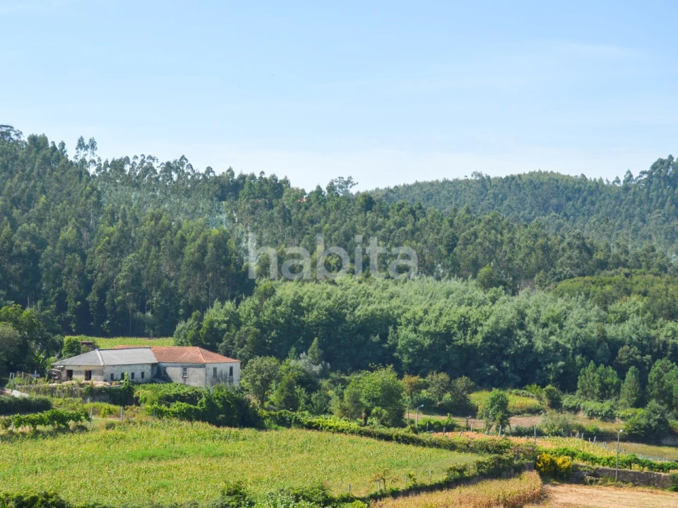 Loja para Venda em Bougado (São Martinho e Santiago) Foto 16