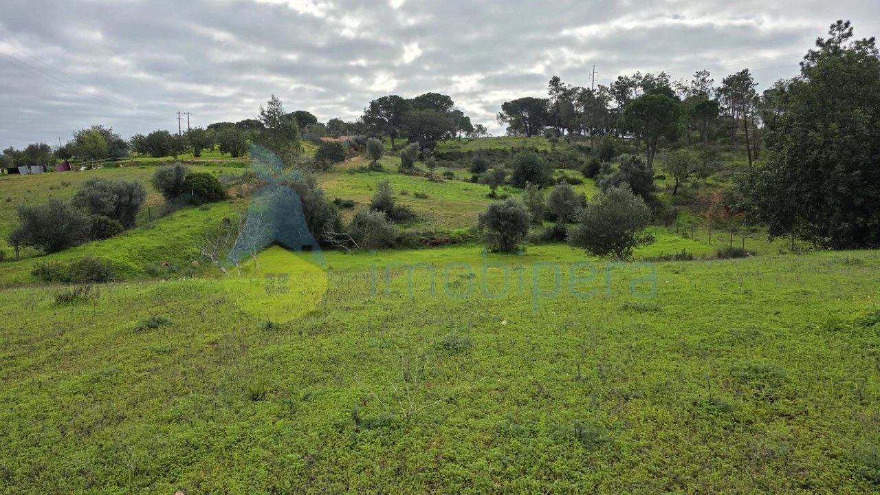 Terreno Agricola ou Rústico para Venda em Porches Foto 4