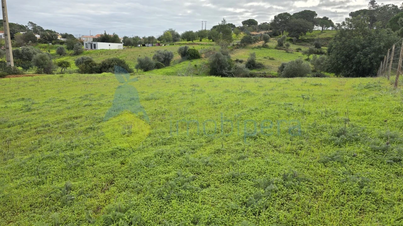 Terreno Agricola ou Rústico para Venda em Porches Foto 5