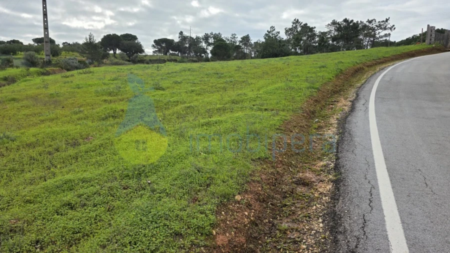 Terreno Agricola ou Rústico para Venda em Porches Foto 1