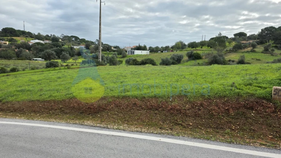 Terreno Agricola ou Rústico para Venda em Porches Foto 3