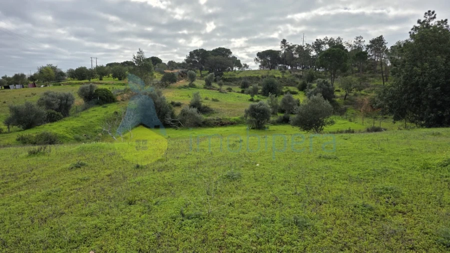 Terreno Agricola ou Rústico para Venda em Porches Foto 4