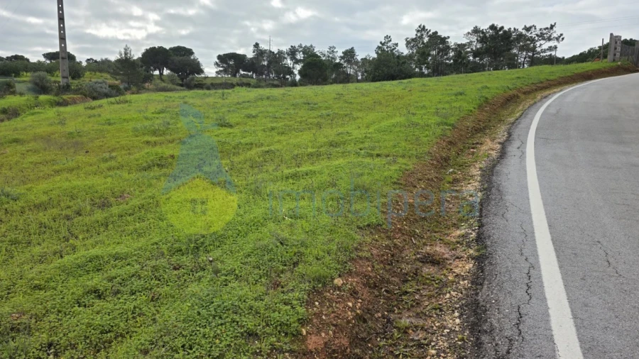 Terreno Agricola ou Rústico para Venda em Porches