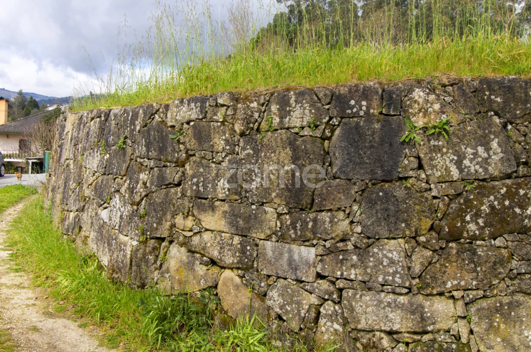 Terreno para Venda em Jolda (São Paio) Foto 3