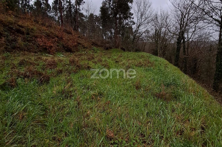 Terreno para Venda em Jolda (São Paio) Foto 5