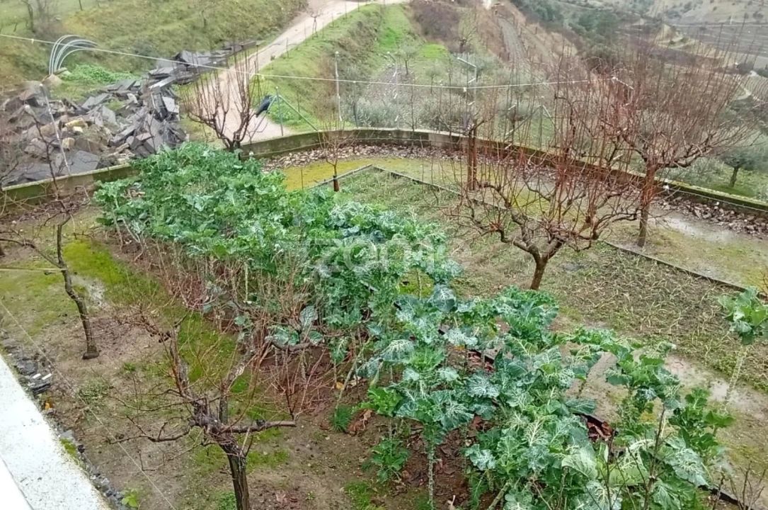 Moradia T4 para Venda em Vila Nova de Foz Côa Foto 55
