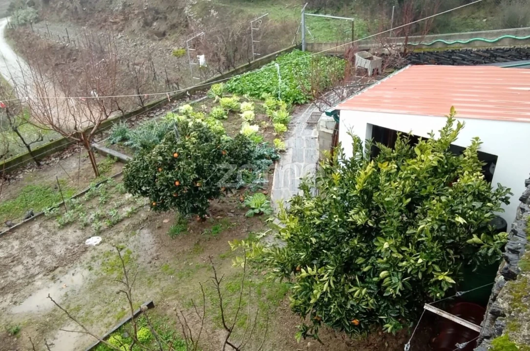 Moradia T4 para Venda em Vila Nova de Foz Côa Foto 54