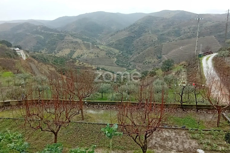 Moradia T4 para Venda em Vila Nova de Foz Côa Foto 56