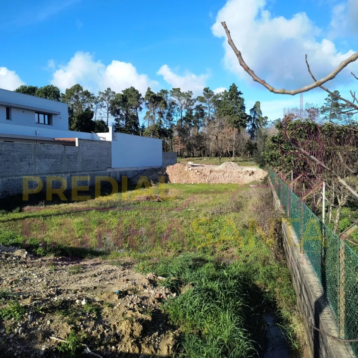 Terreno para Venda em Cantanhede e Pocariça Foto 2