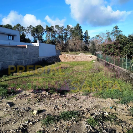 Terreno para Venda em Cantanhede e Pocariça