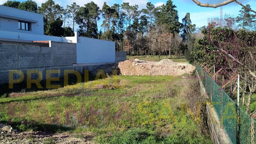 Terreno para Venda em Cantanhede e Pocariça