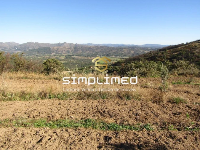 Terreno para Venda em Gonçalo Bocas Foto 9