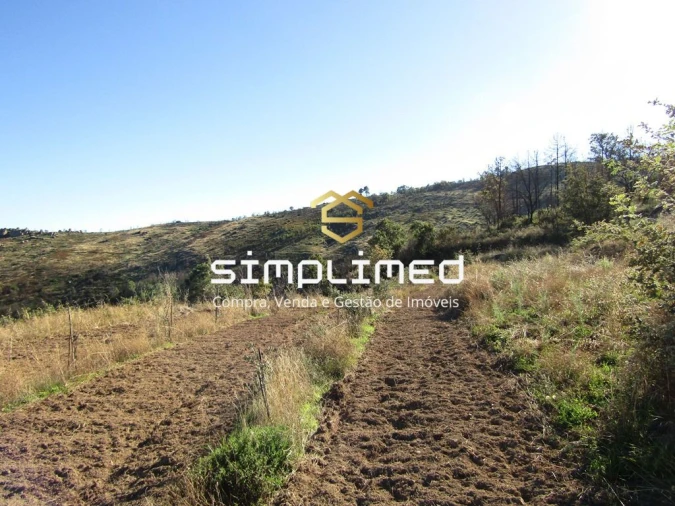 Terreno para Venda em Gonçalo Bocas Foto 20