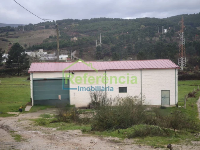 Loja para Venda em São Pedro de Agostem