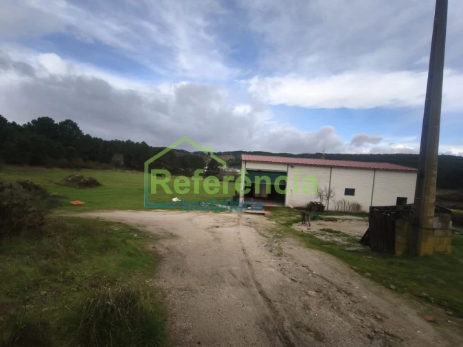 Loja para Venda em São Pedro de Agostem Foto 8