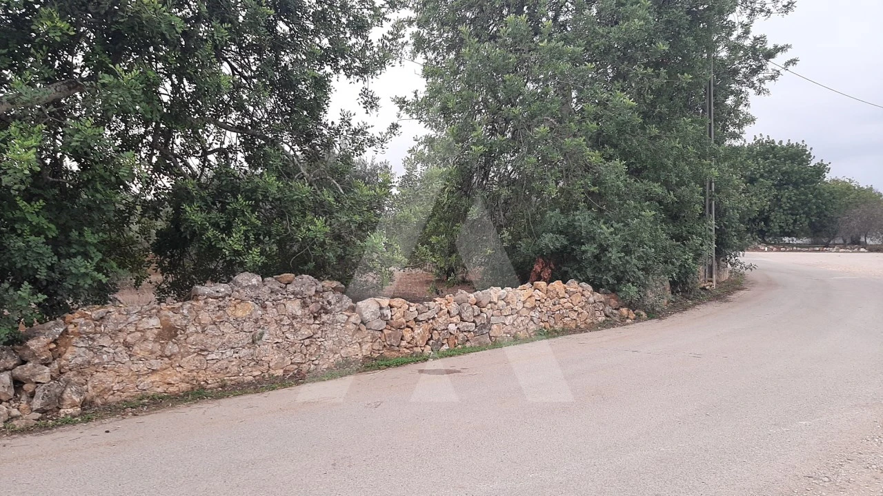 Terreno para Venda em São Brás de Alportel Foto 7