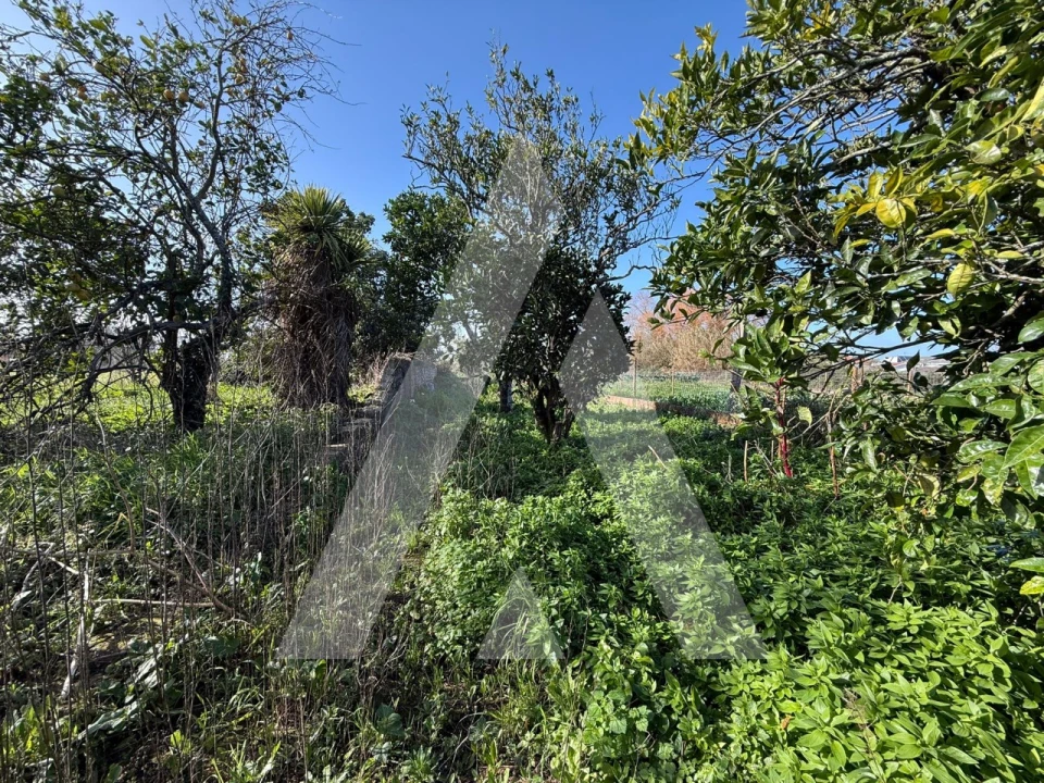 Moradia T4 para Venda em Aradas Foto 20