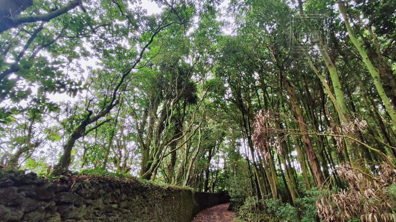 Terreno para Venda em São Vicente Ferreira Foto 21