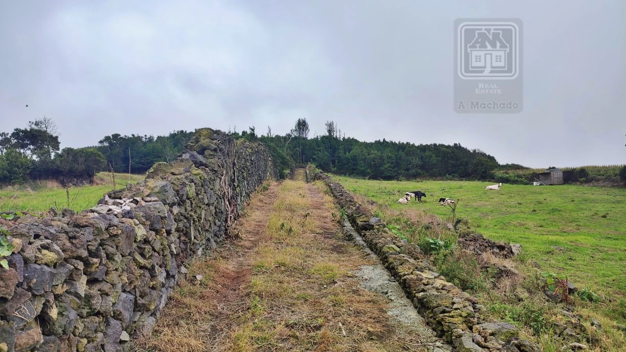Terreno para Venda em São Vicente Ferreira Foto 24