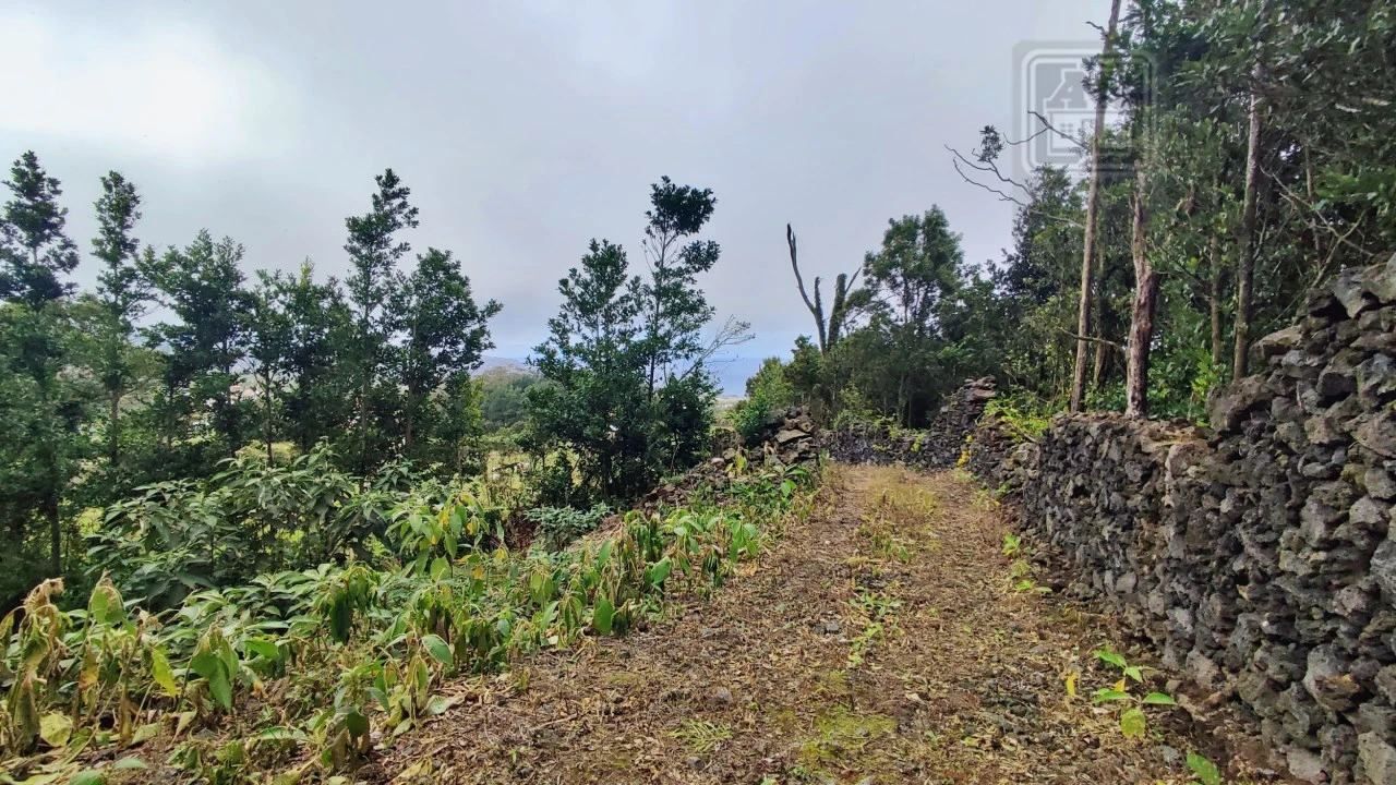 Terreno para Venda em São Vicente Ferreira Foto 28