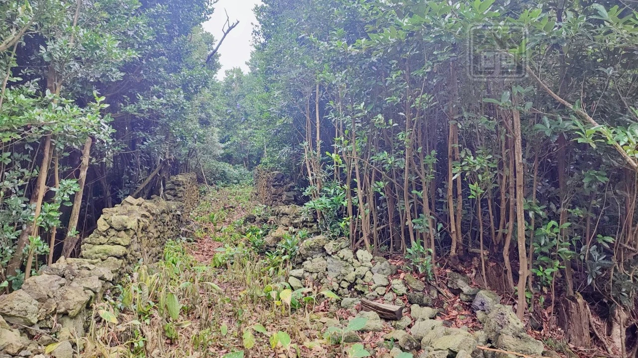 Terreno para Venda em São Vicente Ferreira Foto 29