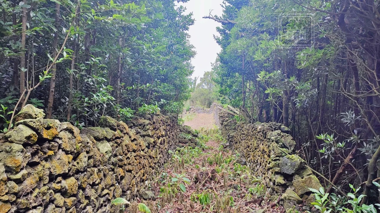 Terreno para Venda em São Vicente Ferreira Foto 30