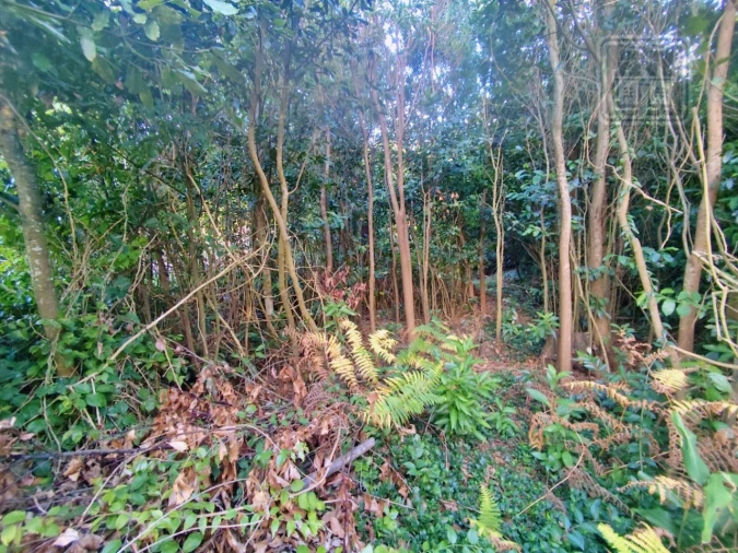 Terreno para Venda em São Vicente Ferreira Foto 7