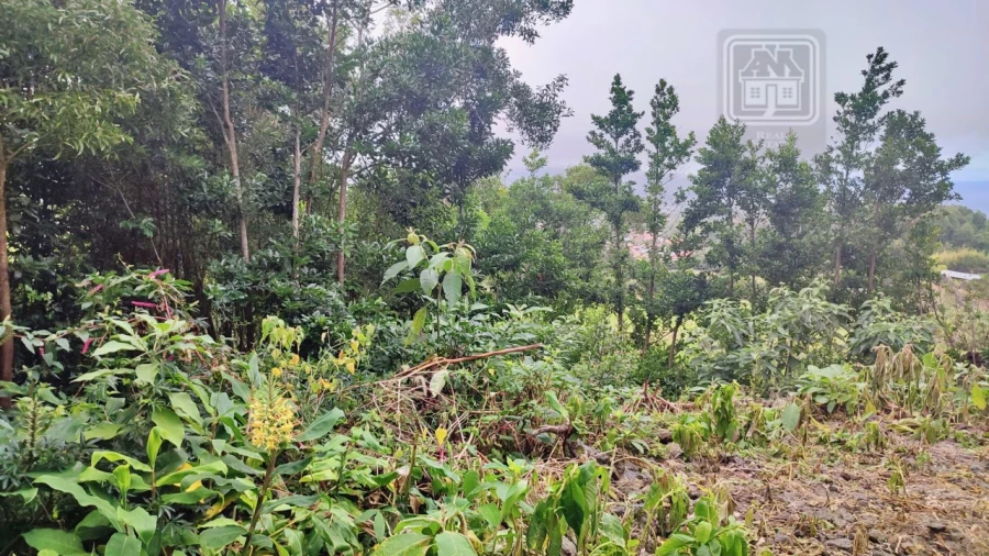 Terreno para Venda em São Vicente Ferreira Foto 9