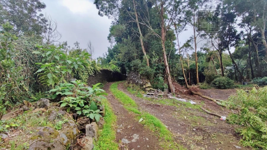 Terreno para Venda em São Vicente Ferreira Foto 18