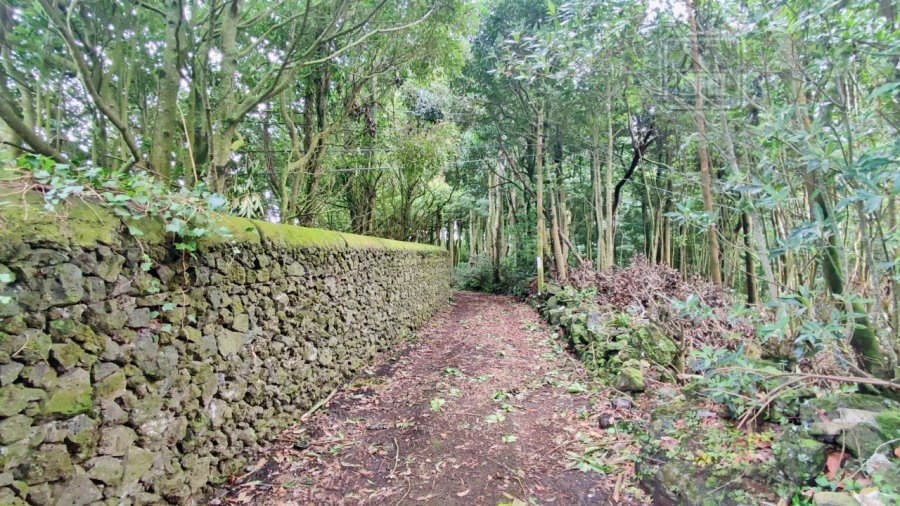 Terreno para Venda em São Vicente Ferreira Foto 20
