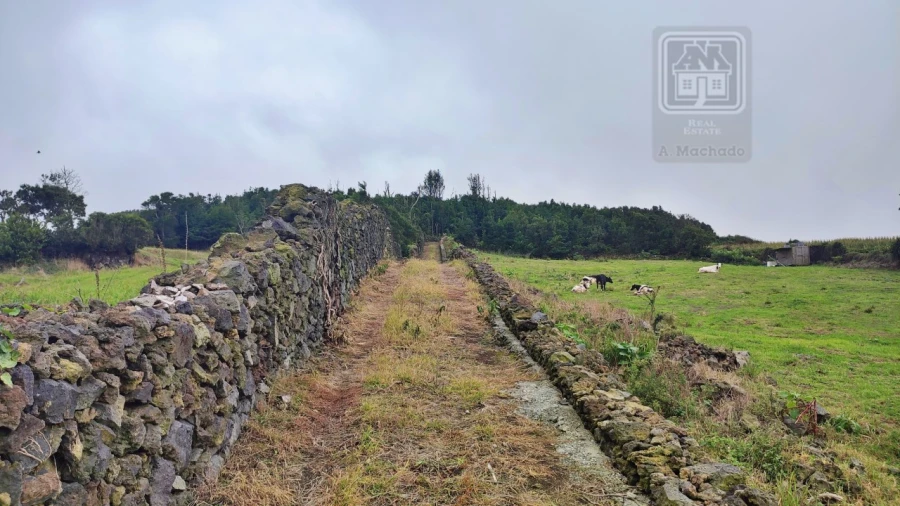 Terreno para Venda em São Vicente Ferreira Foto 24