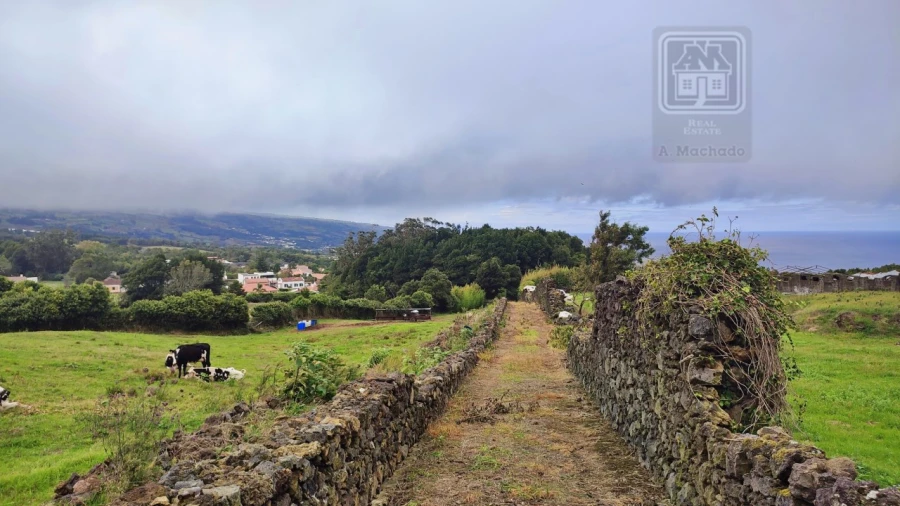 Terreno para Venda em São Vicente Ferreira Foto 27