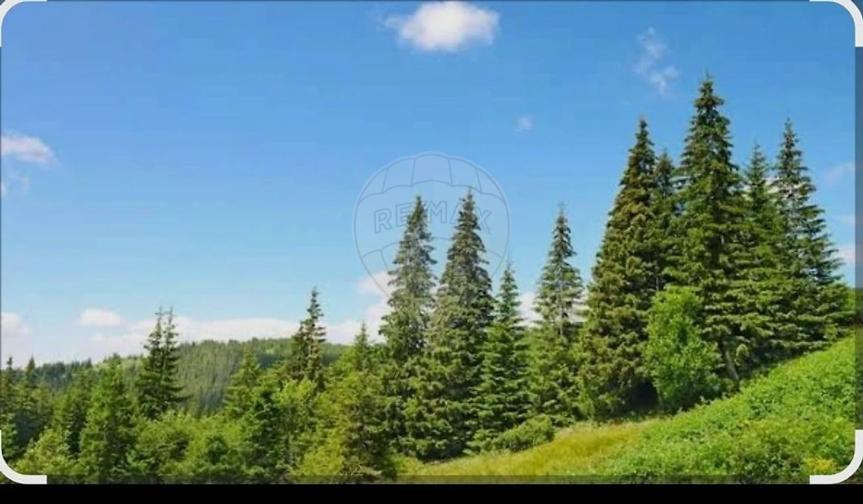 Terreno para Venda em Pedroso e Seixezelo Foto 1