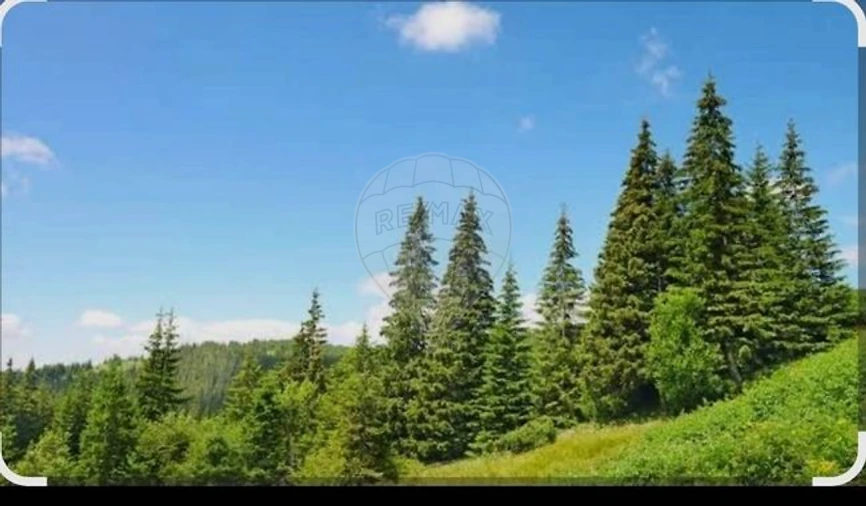 Terreno para Venda em Pedroso e Seixezelo Foto 3
