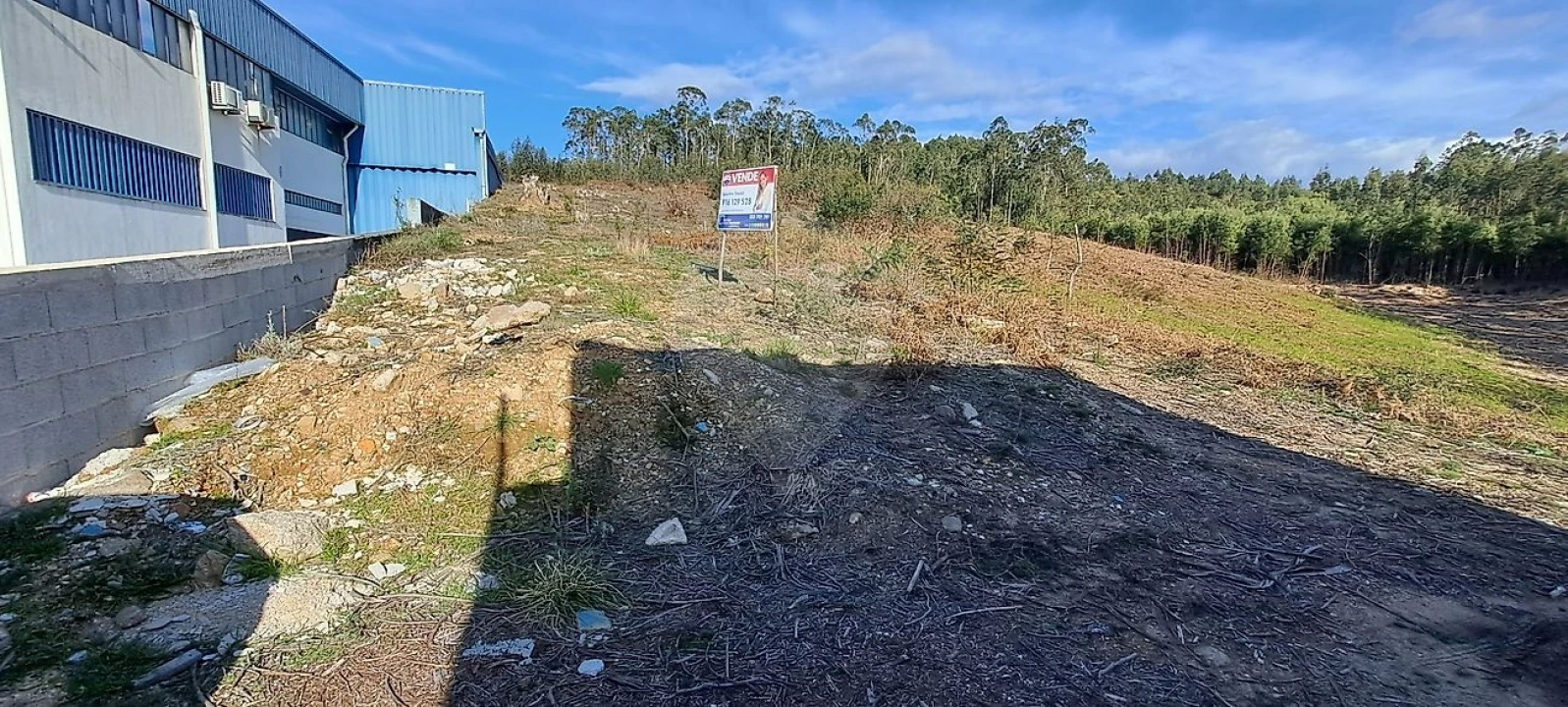 Terreno para Venda em São João de Ver Foto 6